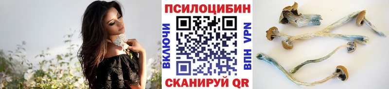 Галлюциногенные грибы MAGIC MUSHROOMS  магазин продажи наркотиков  Заинск 