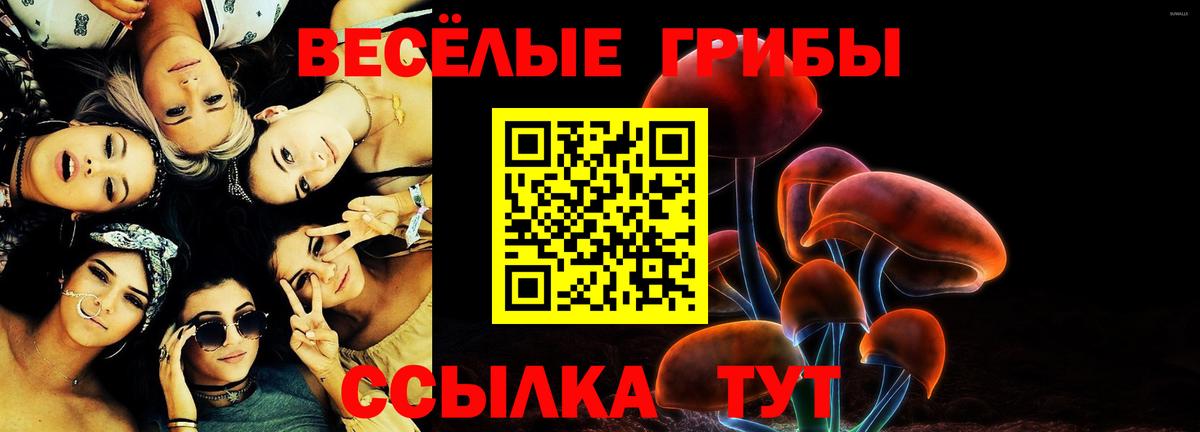 Галлюциногенные грибы мицелий  Вход с VPN  Заинск 