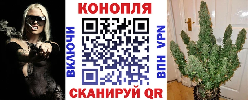 Каннабис индика  где продают наркотики  гидра как зайти  Заинск 